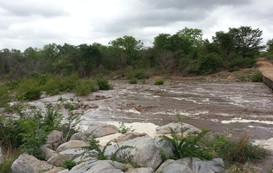 Mkwasine River in Seasonal Flood